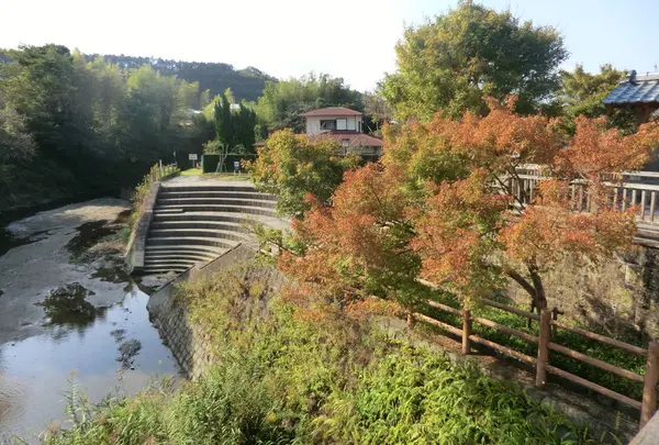 知覧武家屋敷庭園周辺おすすめスポット【麓公園】