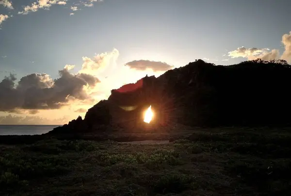 ミーフガーの写真・動画_image_451176