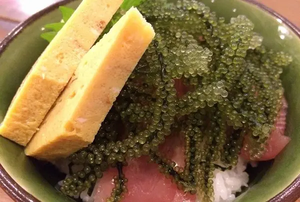 南島食楽園の写真・動画_image_451215
