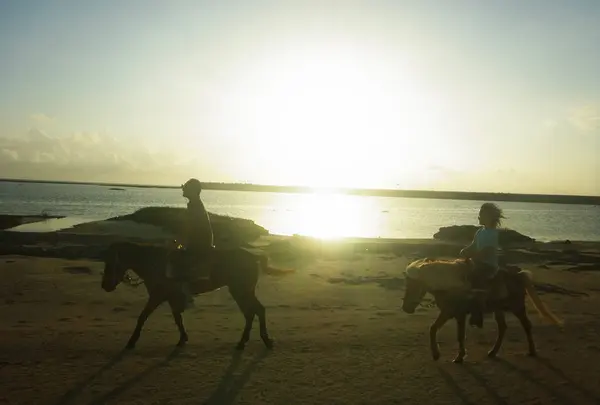 久米島馬牧場の写真・動画_image_451278