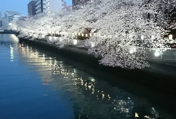 黒船橋