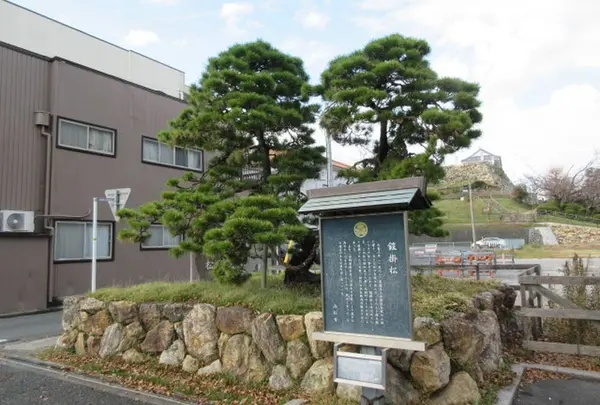 家康公鎧掛松