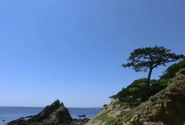 孝助松海岸