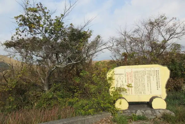 秋吉台