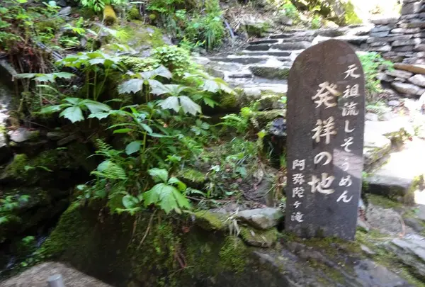 あみだが滝荘流しそうめんの写真・動画_image_574788
