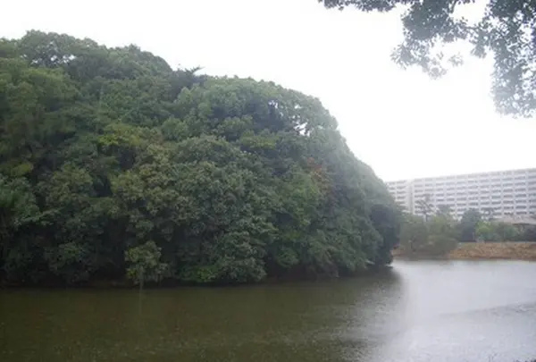 反正天皇陵の写真・動画_image_577543