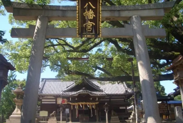 百舌鳥八幡宮の写真・動画_image_578419