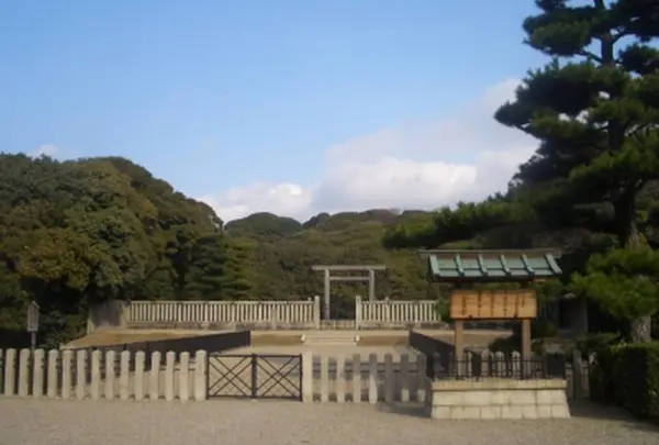 国指定史跡 百舌鳥古墳群の写真・動画_image_579939