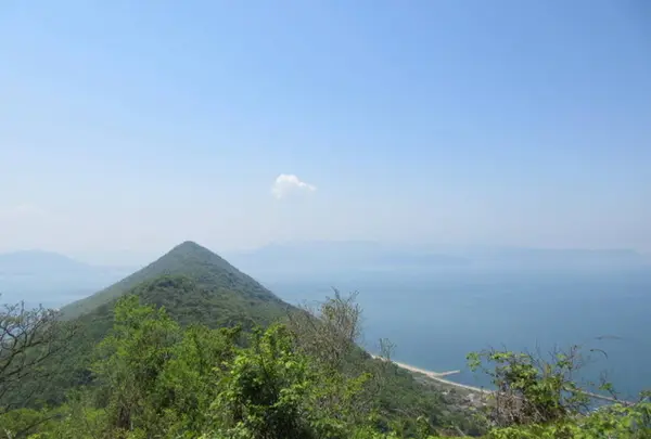 鷲ヶ峰展望台の写真・動画_image_598261