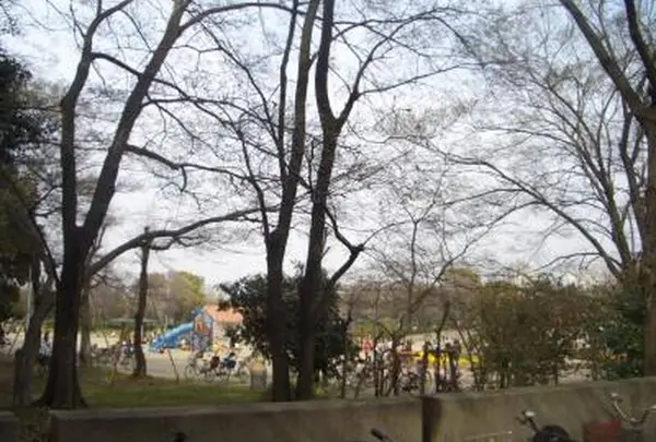 住之江公園の写真・動画_image_613820