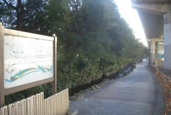 十三間川のせせらぎの写真・動画_image_613821