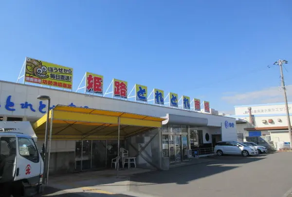 姫路まえどれ市場 （【旧店名】姫路とれとれ市場） の写真・動画_image_613882