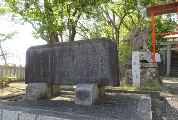 忍岡古墳の写真・動画_image_650277
