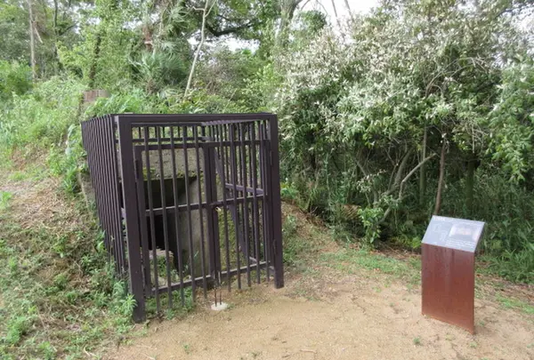 戦争遺跡防空壕