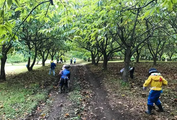 まる八いけだ農園