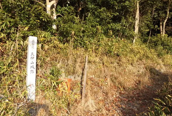 天神山城跡の写真・動画_image_711610