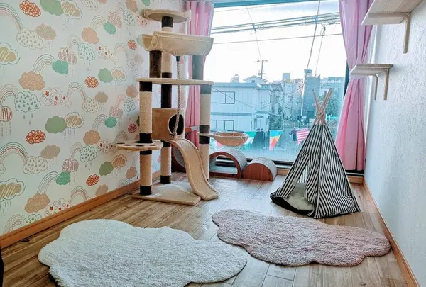 猫専用ペットホテル『ねこべや羽田空港店』