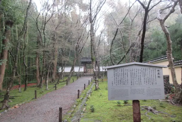 地蔵院（竹の寺）