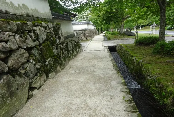 坂本の写真・動画_image_771314