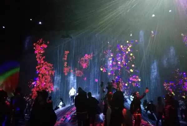 【閉業】森ビルデジタルアートミュージアム：エプソン チームラボボーダレス（MORI Building Digital Art Museum: EPSON teamLab Borderless）の写真・動画_image_887715