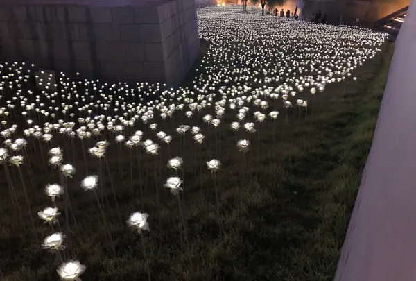LEDバラ庭園