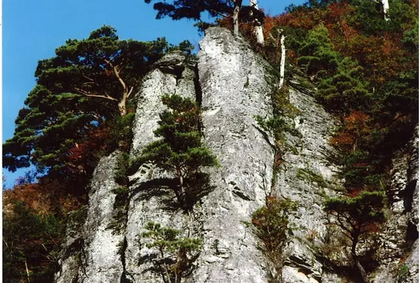 船上山屏風岩の写真・動画_image_34172