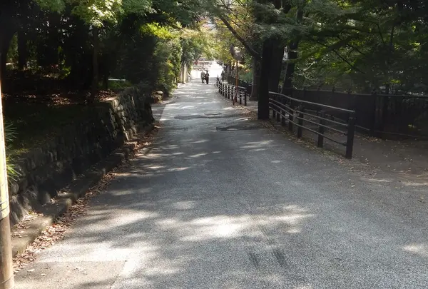 宝積寺の写真・動画_image_99991