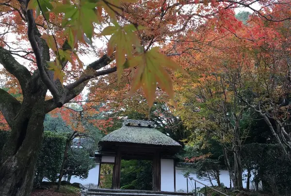 安楽寺