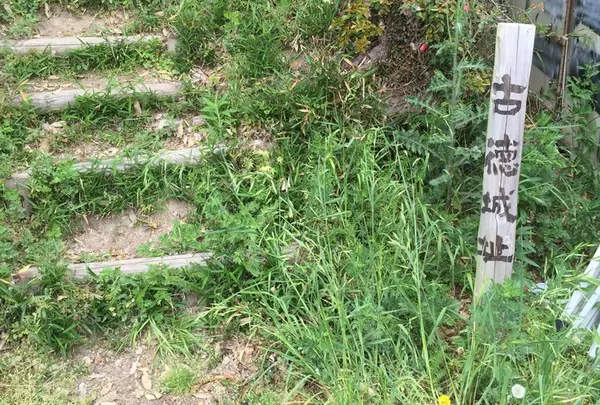 沼の反対側には城址が