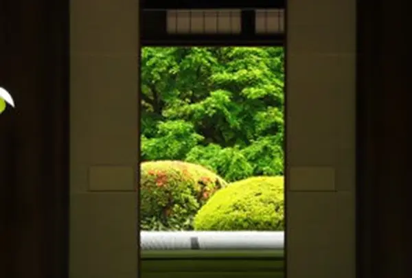 書院からの眺め