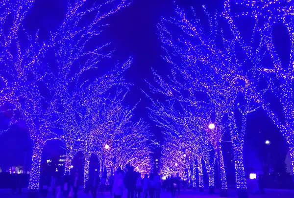 今年の冬は…❄️