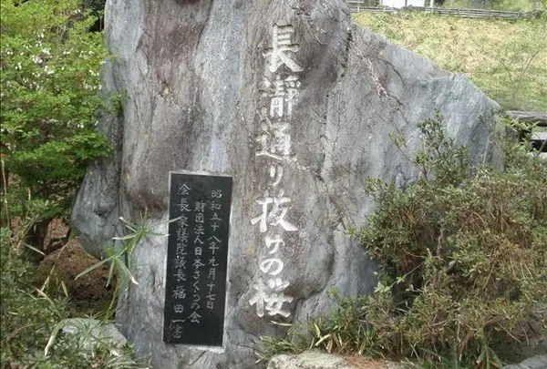 長瀞町観光協会の写真・動画_image_178833