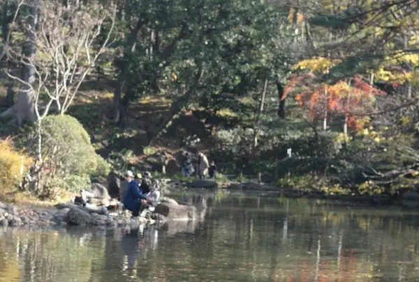 有栖川宮記念公園の写真・動画_image_55251
