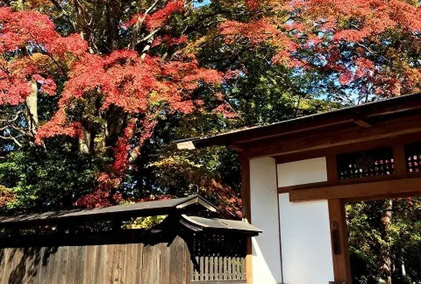 侍屋敷 大松沢家