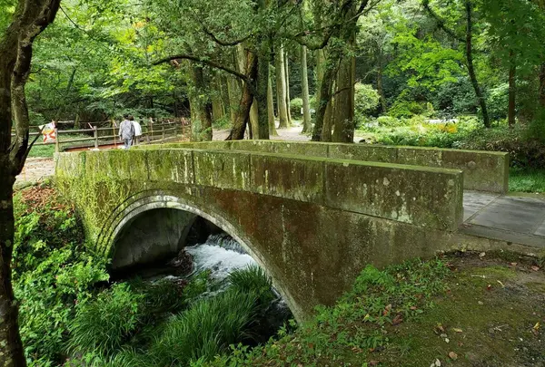 0967-25-2211（産山村役場）