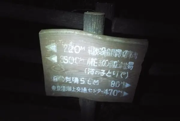観音崎公園の写真・動画_image_38976