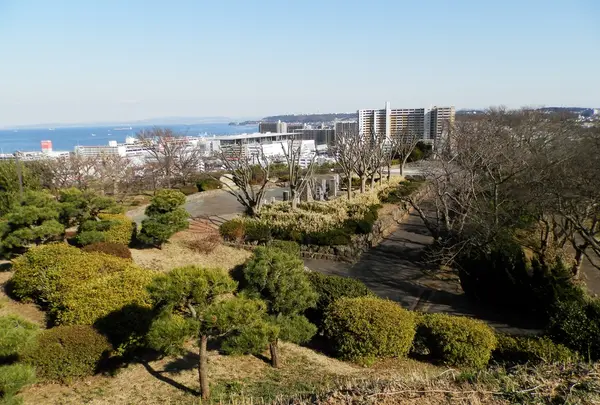 中央公園の写真・動画_image_67956