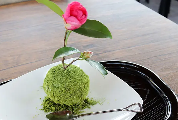 Bonsai Cafe