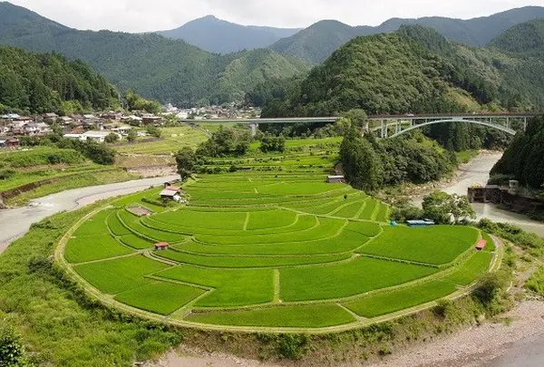 あらぎ島