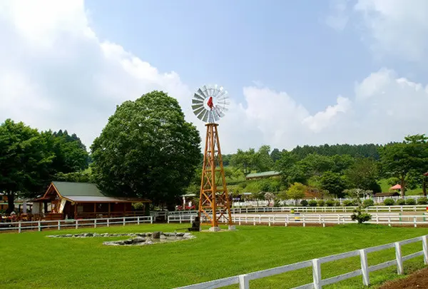 まかいの牧場
