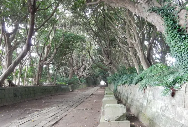 酒列磯前神社の写真・動画_image_148765