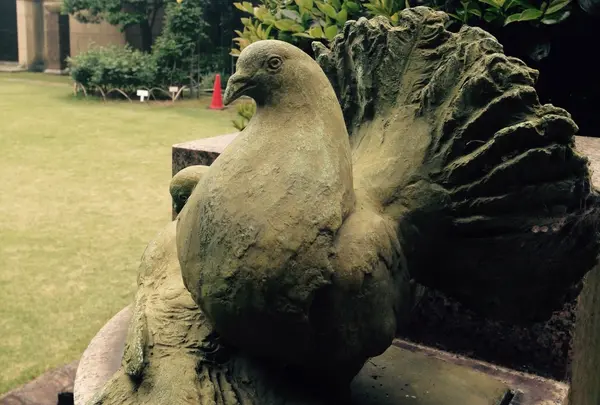 鳩山会館の写真・動画_image_136831