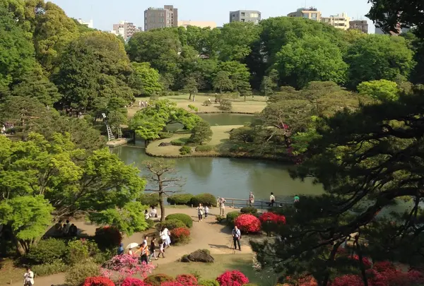 高台からの眺め