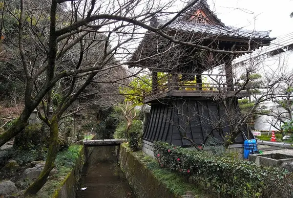 見応えある庭