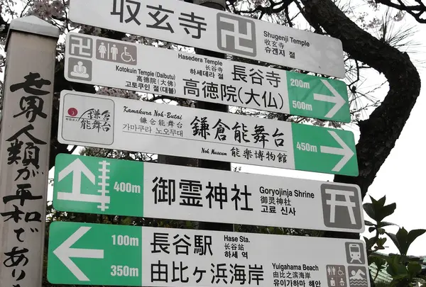 道に迷いません