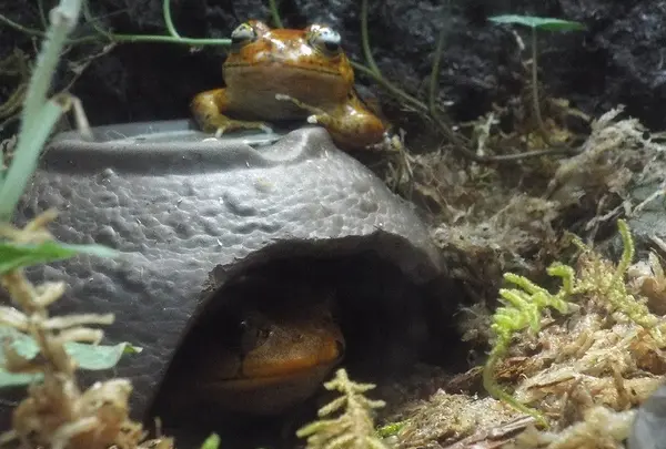 仙台うみの杜水族館の写真・動画_image_44035