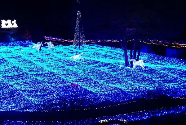 京都イルミエール