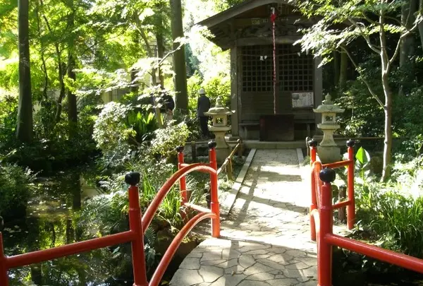 お鷹の道・真姿の池湧水群