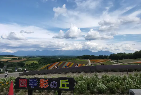 四季彩の丘
