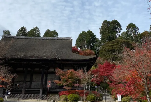 阿星山 常楽寺